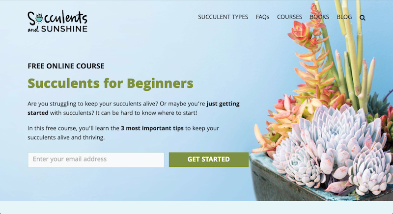 plant care is a profitable blog niche idea