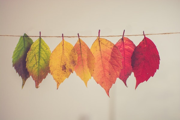 fall blog post ideas