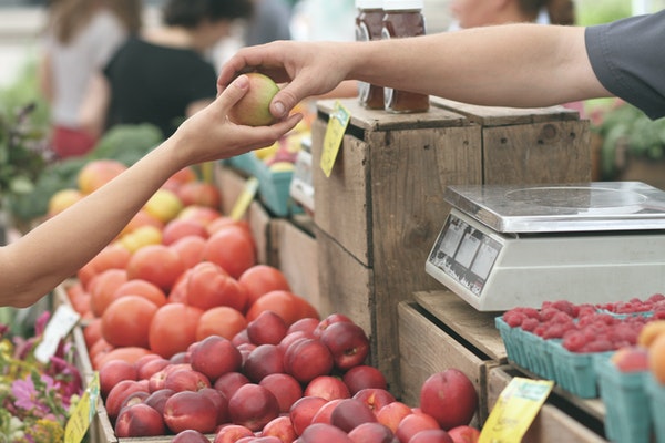 ways to save cash on groceries